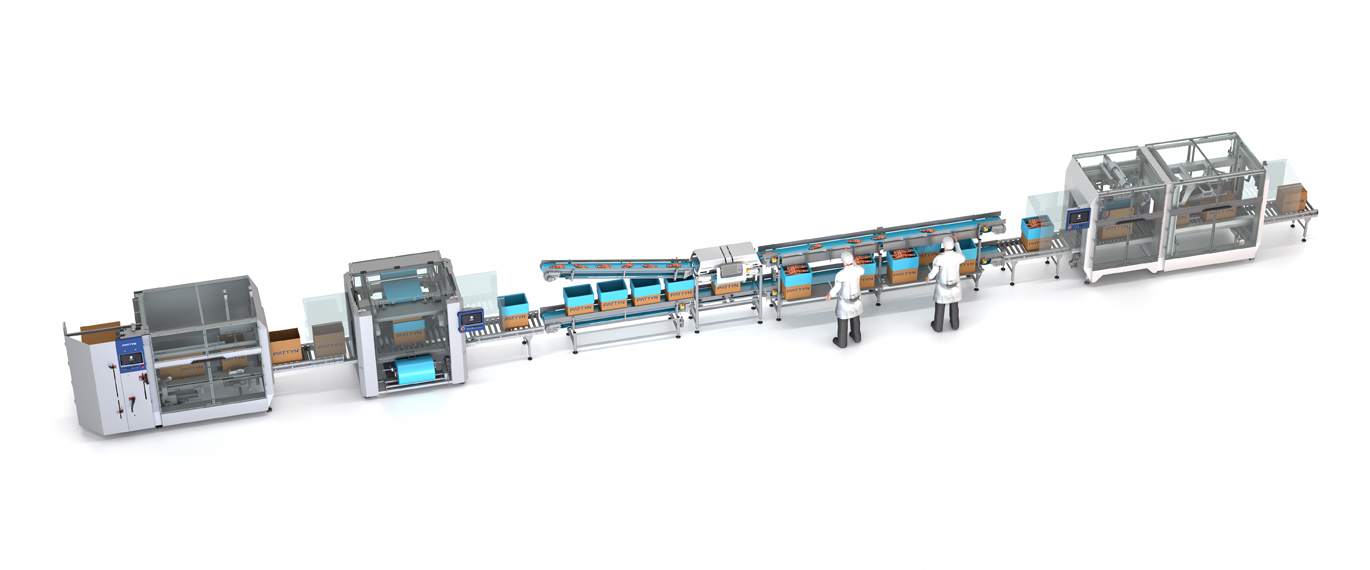 Pattyn Meat & Poultry packaging line