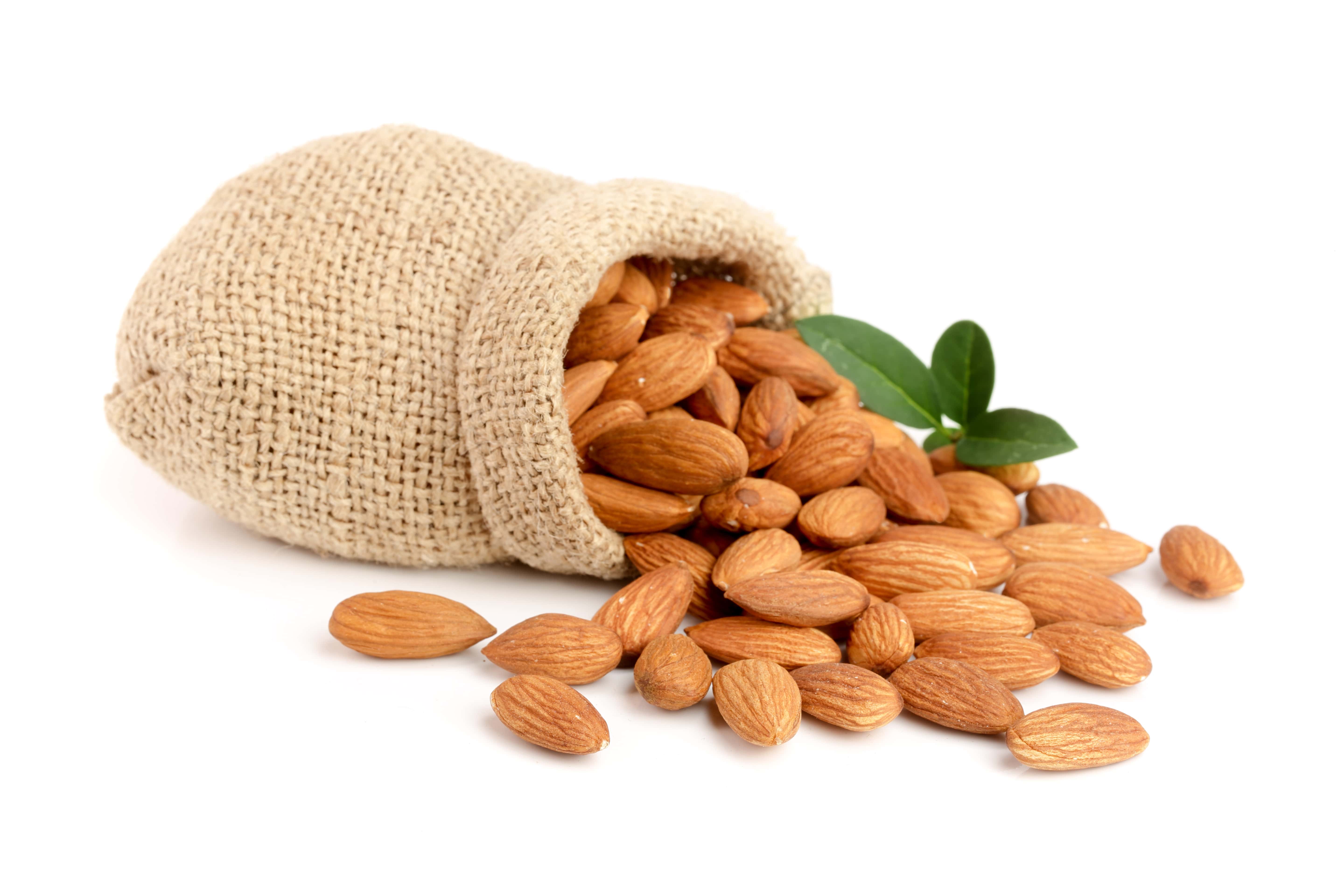 Nut industry: understanding its challenges and successes by Pattyn