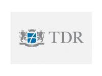 TDR