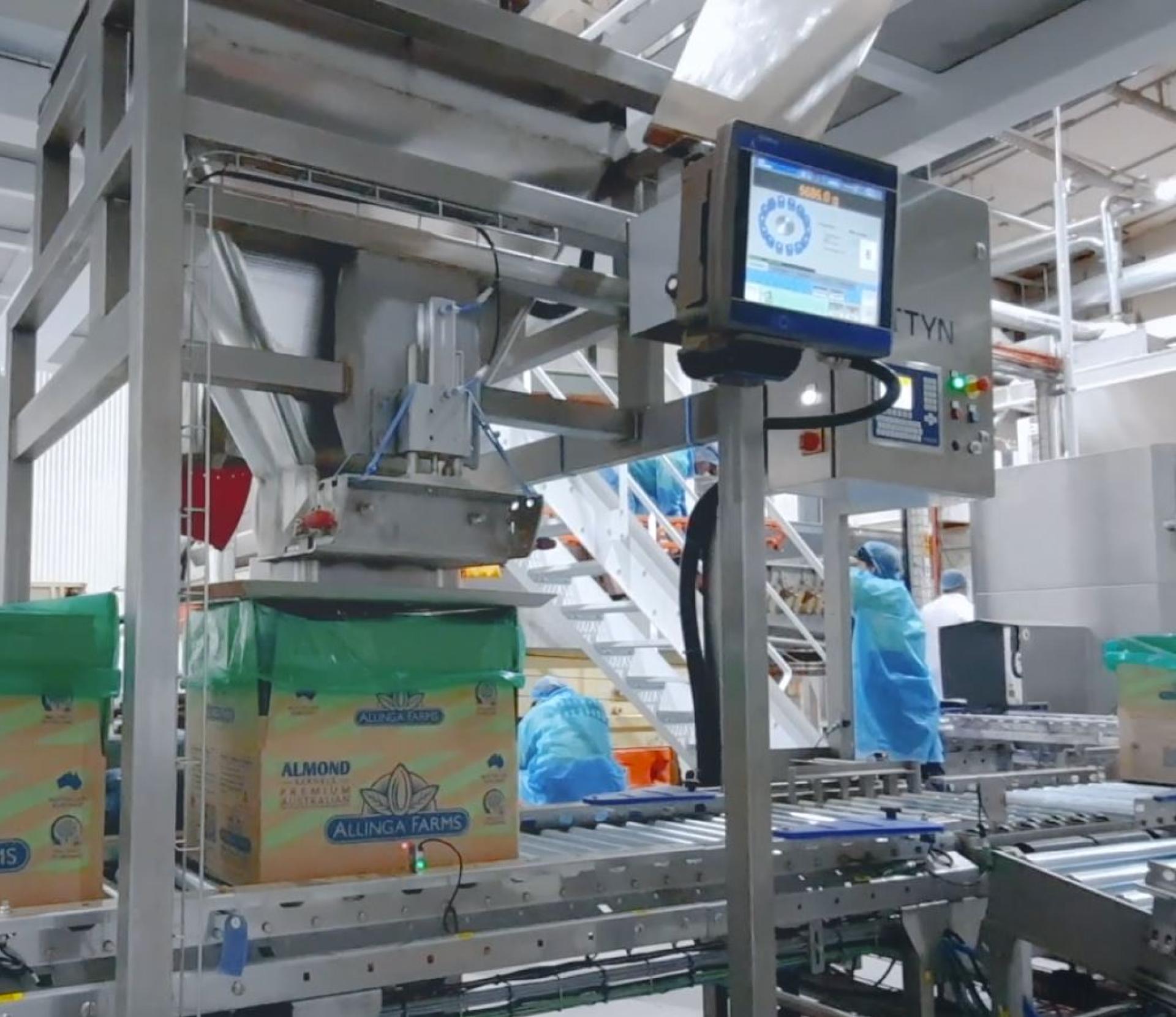 Aumomated walnut filling machine made by Pattn