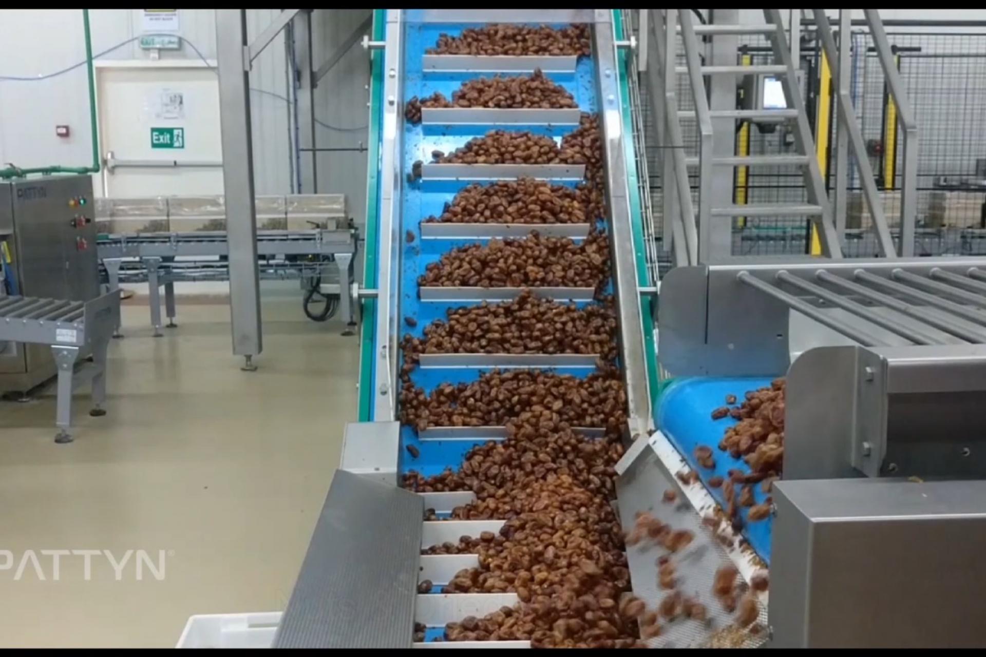 Nuts & dried fruits